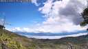 ./images/calvert/fitz-hugh-hecate/20260611/fitz-hugh-hecate20260611_122501M.jpg