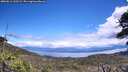 ./images/calvert/fitz-hugh-hecate/20260611/fitz-hugh-hecate20260611_133501M.jpg
