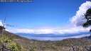 ./images/calvert/fitz-hugh-hecate/20260611/fitz-hugh-hecate20260611_135501M.jpg