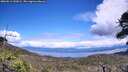 ./images/calvert/fitz-hugh-hecate/20260611/fitz-hugh-hecate20260611_142001M.jpg