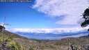 ./images/calvert/fitz-hugh-hecate/20260611/fitz-hugh-hecate20260611_145001M.jpg