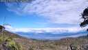 ./images/calvert/fitz-hugh-hecate/20260611/fitz-hugh-hecate20260611_151002M.jpg