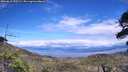 ./images/calvert/fitz-hugh-hecate/20260611/fitz-hugh-hecate20260611_153501M.jpg