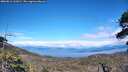 ./images/calvert/fitz-hugh-hecate/20260611/fitz-hugh-hecate20260611_161002M.jpg