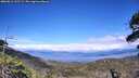 ./images/calvert/fitz-hugh-hecate/20260611/fitz-hugh-hecate20260611_161501M.jpg