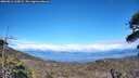 ./images/calvert/fitz-hugh-hecate/20260611/fitz-hugh-hecate20260611_163001M.jpg