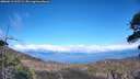 ./images/calvert/fitz-hugh-hecate/20260611/fitz-hugh-hecate20260611_165501M.jpg