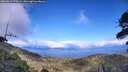 ./images/calvert/fitz-hugh-hecate/20260611/fitz-hugh-hecate20260611_172001M.jpg