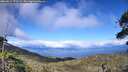 ./images/calvert/fitz-hugh-hecate/20260611/fitz-hugh-hecate20260611_172501M.jpg