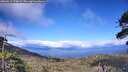 ./images/calvert/fitz-hugh-hecate/20260611/fitz-hugh-hecate20260611_173002M.jpg