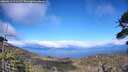 ./images/calvert/fitz-hugh-hecate/20260611/fitz-hugh-hecate20260611_173501M.jpg