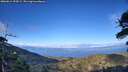 ./images/calvert/fitz-hugh-hecate/20260611/fitz-hugh-hecate20260611_194501M.jpg