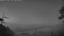 ./images/calvert/fitz-hugh-hecate/20260611/fitz-hugh-hecate20260611_224501M.jpg