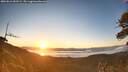 ./images/calvert/fitz-hugh-hecate/20260612/fitz-hugh-hecate20260612_053501M.jpg