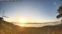 ./images/calvert/fitz-hugh-hecate/20260612/fitz-hugh-hecate20260612_055001M.jpg