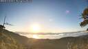 ./images/calvert/fitz-hugh-hecate/20260612/fitz-hugh-hecate20260612_061001M.jpg