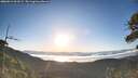 ./images/calvert/fitz-hugh-hecate/20260612/fitz-hugh-hecate20260612_063501M.jpg
