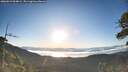 ./images/calvert/fitz-hugh-hecate/20260612/fitz-hugh-hecate20260612_064001M.jpg