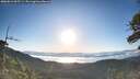 ./images/calvert/fitz-hugh-hecate/20260612/fitz-hugh-hecate20260612_065501M.jpg