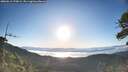 ./images/calvert/fitz-hugh-hecate/20260612/fitz-hugh-hecate20260612_070001M.jpg
