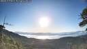 ./images/calvert/fitz-hugh-hecate/20260612/fitz-hugh-hecate20260612_070501M.jpg