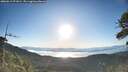 ./images/calvert/fitz-hugh-hecate/20260612/fitz-hugh-hecate20260612_071001M.jpg