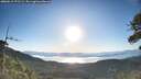 ./images/calvert/fitz-hugh-hecate/20260612/fitz-hugh-hecate20260612_071501M.jpg