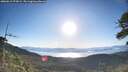 ./images/calvert/fitz-hugh-hecate/20260612/fitz-hugh-hecate20260612_073001M.jpg