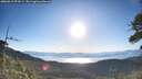 ./images/calvert/fitz-hugh-hecate/20260612/fitz-hugh-hecate20260612_073501M.jpg