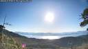 ./images/calvert/fitz-hugh-hecate/20260612/fitz-hugh-hecate20260612_074502M.jpg
