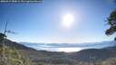 ./images/calvert/fitz-hugh-hecate/20260612/fitz-hugh-hecate20260612_080001M.jpg