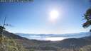 ./images/calvert/fitz-hugh-hecate/20260612/fitz-hugh-hecate20260612_080501M.jpg