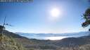 ./images/calvert/fitz-hugh-hecate/20260612/fitz-hugh-hecate20260612_081501M.jpg