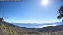 ./images/calvert/fitz-hugh-hecate/20260612/fitz-hugh-hecate20260612_092502M.jpg