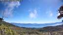 ./images/calvert/fitz-hugh-hecate/20260612/fitz-hugh-hecate20260612_104001M.jpg