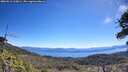 ./images/calvert/fitz-hugh-hecate/20260612/fitz-hugh-hecate20260612_110001M.jpg
