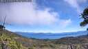 ./images/calvert/fitz-hugh-hecate/20260612/fitz-hugh-hecate20260612_115501M.jpg