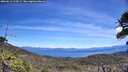 ./images/calvert/fitz-hugh-hecate/20260612/fitz-hugh-hecate20260612_124501M.jpg