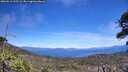 ./images/calvert/fitz-hugh-hecate/20260612/fitz-hugh-hecate20260612_132501M.jpg