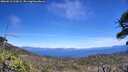 ./images/calvert/fitz-hugh-hecate/20260612/fitz-hugh-hecate20260612_134501M.jpg
