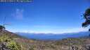 ./images/calvert/fitz-hugh-hecate/20260612/fitz-hugh-hecate20260612_140501M.jpg