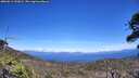 ./images/calvert/fitz-hugh-hecate/20260612/fitz-hugh-hecate20260612_141002M.jpg