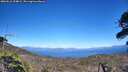 ./images/calvert/fitz-hugh-hecate/20260612/fitz-hugh-hecate20260612_154001M.jpg