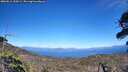 ./images/calvert/fitz-hugh-hecate/20260612/fitz-hugh-hecate20260612_154501M.jpg