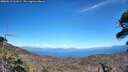./images/calvert/fitz-hugh-hecate/20260612/fitz-hugh-hecate20260612_161002M.jpg
