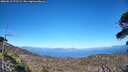 ./images/calvert/fitz-hugh-hecate/20260612/fitz-hugh-hecate20260612_171502M.jpg