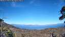./images/calvert/fitz-hugh-hecate/20260612/fitz-hugh-hecate20260612_174501M.jpg