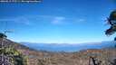 ./images/calvert/fitz-hugh-hecate/20260612/fitz-hugh-hecate20260612_175501M.jpg