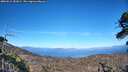 ./images/calvert/fitz-hugh-hecate/20260612/fitz-hugh-hecate20260612_181002M.jpg