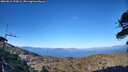 ./images/calvert/fitz-hugh-hecate/20260612/fitz-hugh-hecate20260612_194501M.jpg